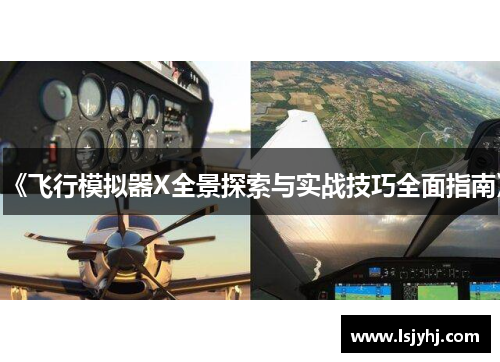 《飞行模拟器X全景探索与实战技巧全面指南》